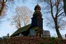 Sawno  - drewniany koci 
