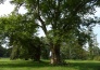 Brody - paac - park 
